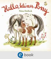   Hallo, kleines Pony!