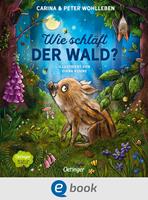   Wie schläft der Wald?