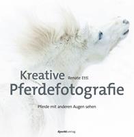   Kreative Pferdefotografie