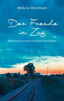   Der Fremde im Zug