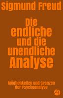   Die endliche und die unendliche Analyse