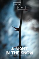   A Night in the Snow