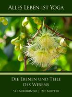   Die Ebenen und Teile des Wesens