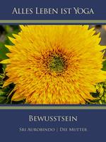   Bewusstsein