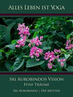   Sri Aurobindos Vision