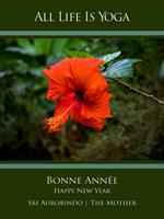   All Life Is Yoga: Bonne Année – Happy New Year