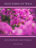   Katastrophen und Unfälle