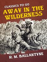  Away in the Wilderness