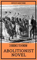   3 books to know - Abolitionist Novel