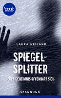   Spiegelsplitter