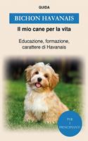  Bichon Havanais