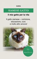   Siamese Gatto