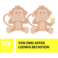   Von zwei Affen