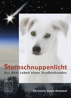   Sternschnuppenlicht