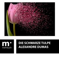   Die schwarze Tulpe