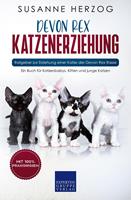   Devon Rex Katzenerziehung - Ratgeber zur Erziehung einer Katze der Devon Rex Rasse