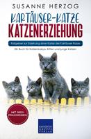   Kartäuser-Katze Katzenerziehung - Ratgeber zur Erziehung einer Katze der Kartäuser Rasse