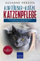   Kartäuser-Katze Katzenpflege – Pflege, Ernährung und häufige Krankheiten rund um Deine Kartäuser-Katze