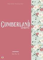   A Cumberland Vendetta