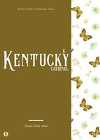   A Kentucky Cardinal