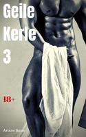   Geile Kerle 3