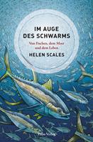   Im Auge des Schwarms