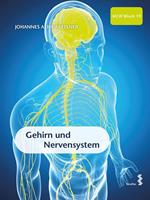   Gehirn und Nervensystem