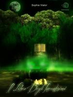   Il libro degli incantesimi