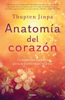   Anatomía del corazón