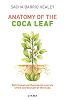   Anatomy of the Coca Leaf