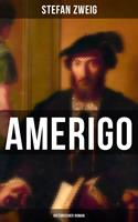   Amerigo: Historischer Roman