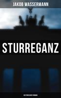   Sturreganz: Historischer Roman