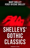 Shelleys'Gothic Classics: Frankenstein & St. Irvyne