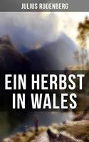   Ein Herbst in Wales