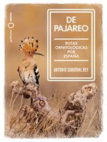   De pajareo