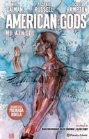   American Gods Sombras (tomo) nº 02/03