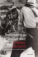   El fen&oacute;meno de la esclavitud y del trabajo esclavo