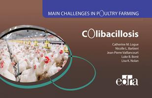   Main Challenges in Poultry Farming. Colibacillosis