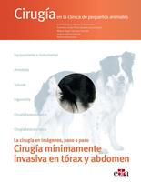   Cirugía mínimamente invasiva en tórax y abdomen