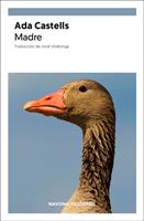   Madre