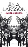   Aurora boreal