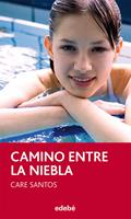   Camino entre la niebla