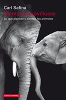   Mentes maravillosas