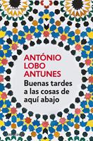   Buenas tardes a las cosas de aquí abajo