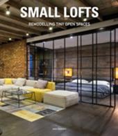 Small lofts. Remodelling tiny open spaces. Ediz. illustrata