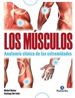   Los músculos