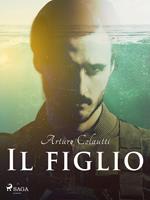   Il figlio