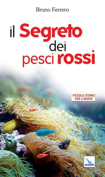 Il segreto dei pesci rossi - Bruno Ferrero - Libro Editrice Elledici 2002, Piccole storie per l'anima | Libraccio.it