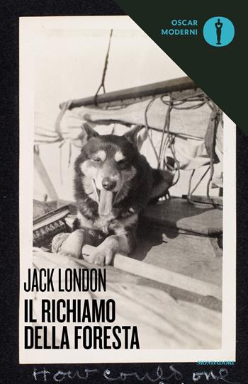 Il richiamo della foresta - Jack London - Libro Mondadori 2019, Oscar moderni | Libraccio.it