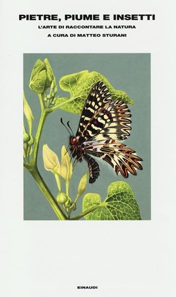 Pietre, piume e insetti. L'arte di raccontare la natura  - Libro Einaudi 2013, Supercoralli | Libraccio.it